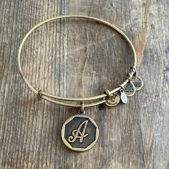 Alex and Ani Gold Energy Charm Bracelet - Picture 1 of 3